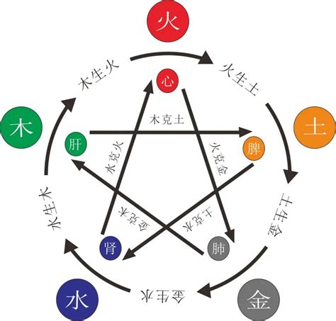 木火金水|八字五行论命，“金水”旺和“木火”旺到底有何不同？